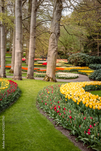 Blooming parkland in Keukenhof in Lisse, Netherlands