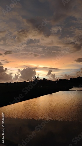 Obraz na plátne sunset over the ricefield