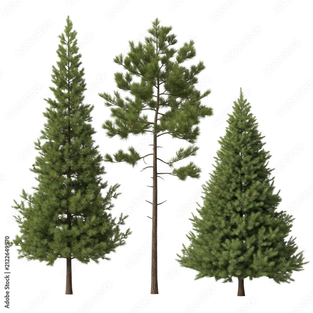 Fototapeta premium A snowy landscape featuring three tall evergreen trees