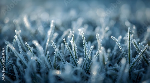 Frost Crystals on Blades of Grass in Macro Detail During Cold Winter Morning