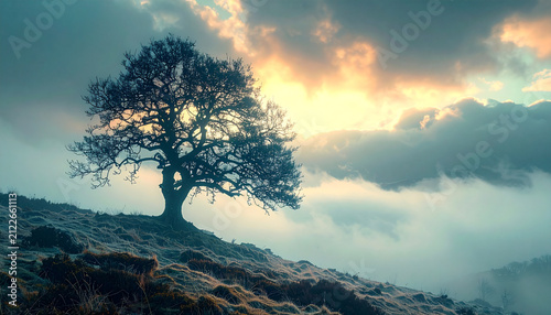 Bare tree on misty hillside at sunrise, dramatic cloud and fog landscape with soft golden light and frosty grass