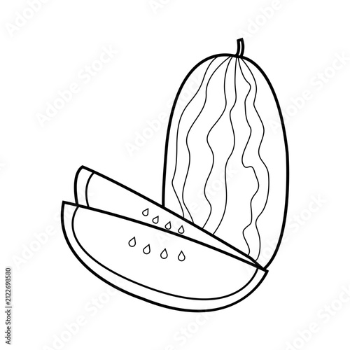 Watermelon illustration design