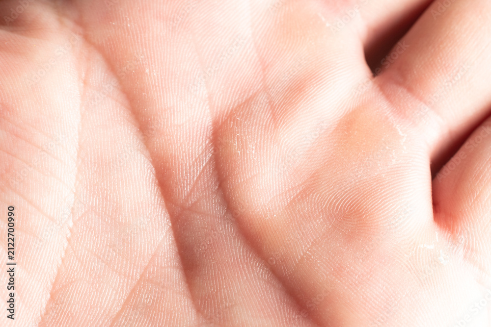 Fototapeta premium close up of human hand. Human palm and life lines close up, palmistry science, white man palm. Close-up of open human hand palm facing upward with visible life lines and natural skin texture 