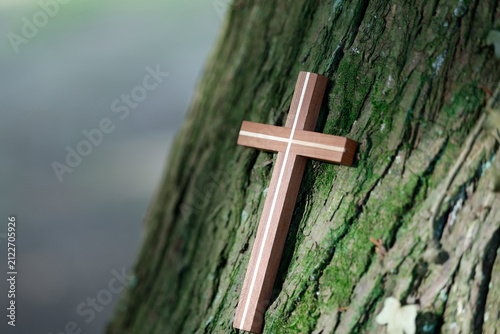 Принти на полотні A wooden cross adorned with an inlaid stripe rests in the fork of a moss-covered tree
