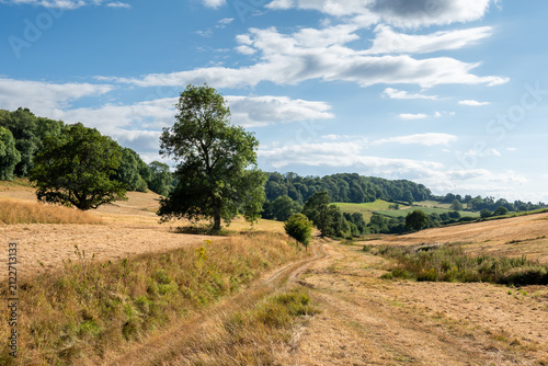 drought conditions in the cotswolds