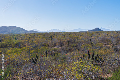 rugged desert and mountain landscape of baja california sur in east cape region near los cabos mexico