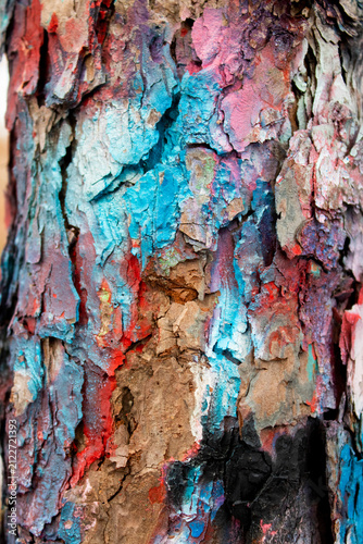 Graffiti on a Tree