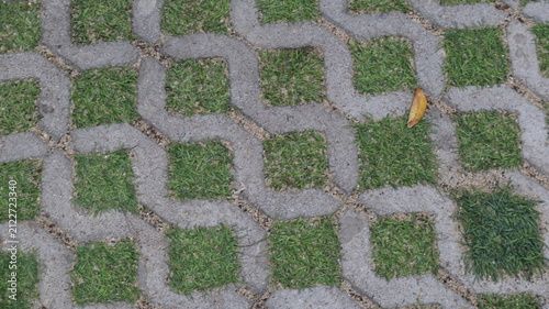 Interlocking Permeable Paving Stones with Green Grass