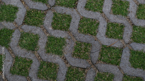 Close Up of Interlocking Paving Stones Filled with Grass Texture