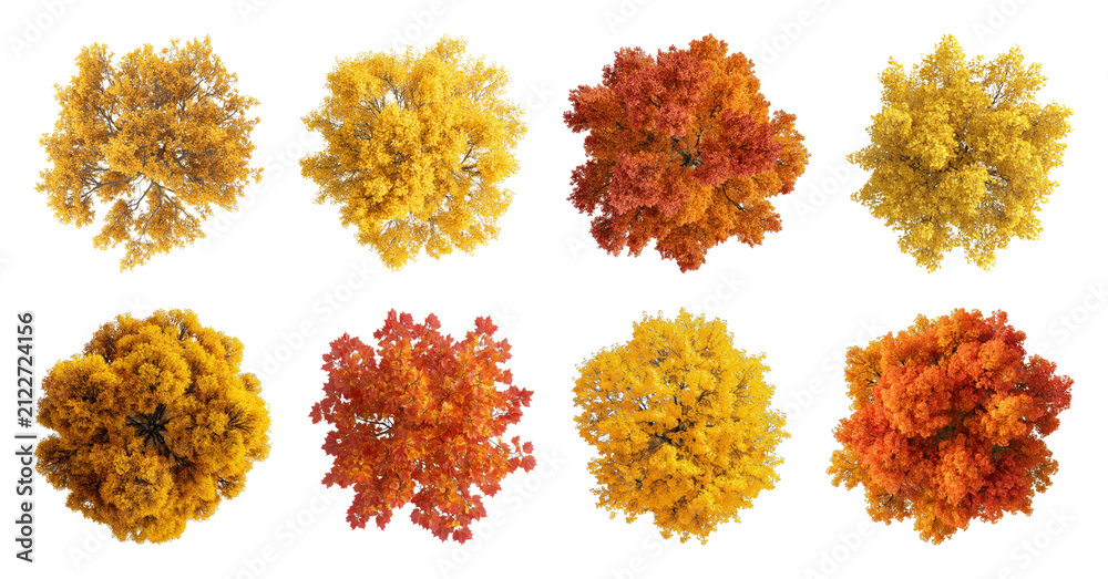 Obraz premium PNG Top view of vibrant autumn trees in full color on transparent background