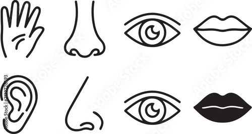 Bild auf Leinwand Human nose and eye line art vector set featuring nose job rhinoplasty and eye vi