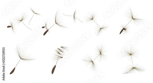 close-up of dandelion seeds floating in the air against a pure white background natures beauty and concept