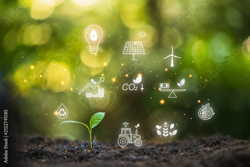 Plant seedling growing in soil with glowing ESG icons. Sustainability, renewable energy, smart farming, carbon net zero, smart agriculture digital icons and green business investment concept.