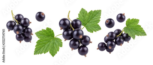 Blackcurrant berries with green leaves isolated on transparent background
