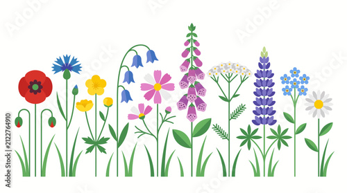A vibrant illustration of various colorful wildflowers blooming in a row, featuring poppies, cornflowers, buttercups, bluebells, cosmos, foxgloves, lupines, and daisies.
