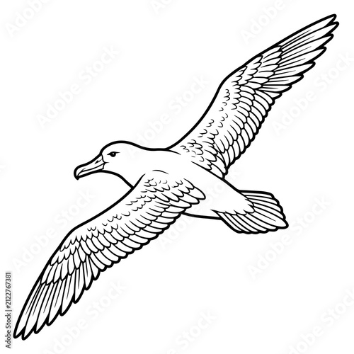 Bild auf Leinwand Black and white line of an albatross in flight, wings spread wide, detailed feat