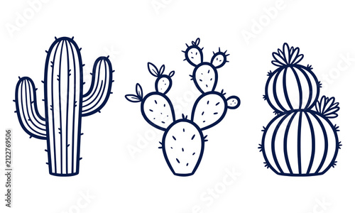 Set of three hand drawn cacti, vector illustration of desert plants