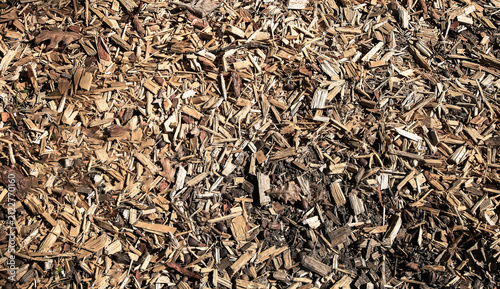 Konstfotografi A layer of small pieces of wood on the ground