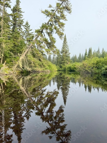 Canadian summer landscape in north of Quebec