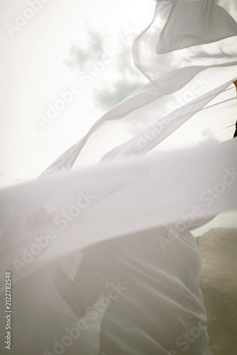 Fotografie Abstract picture of a girl in a white hare, wind blowing.