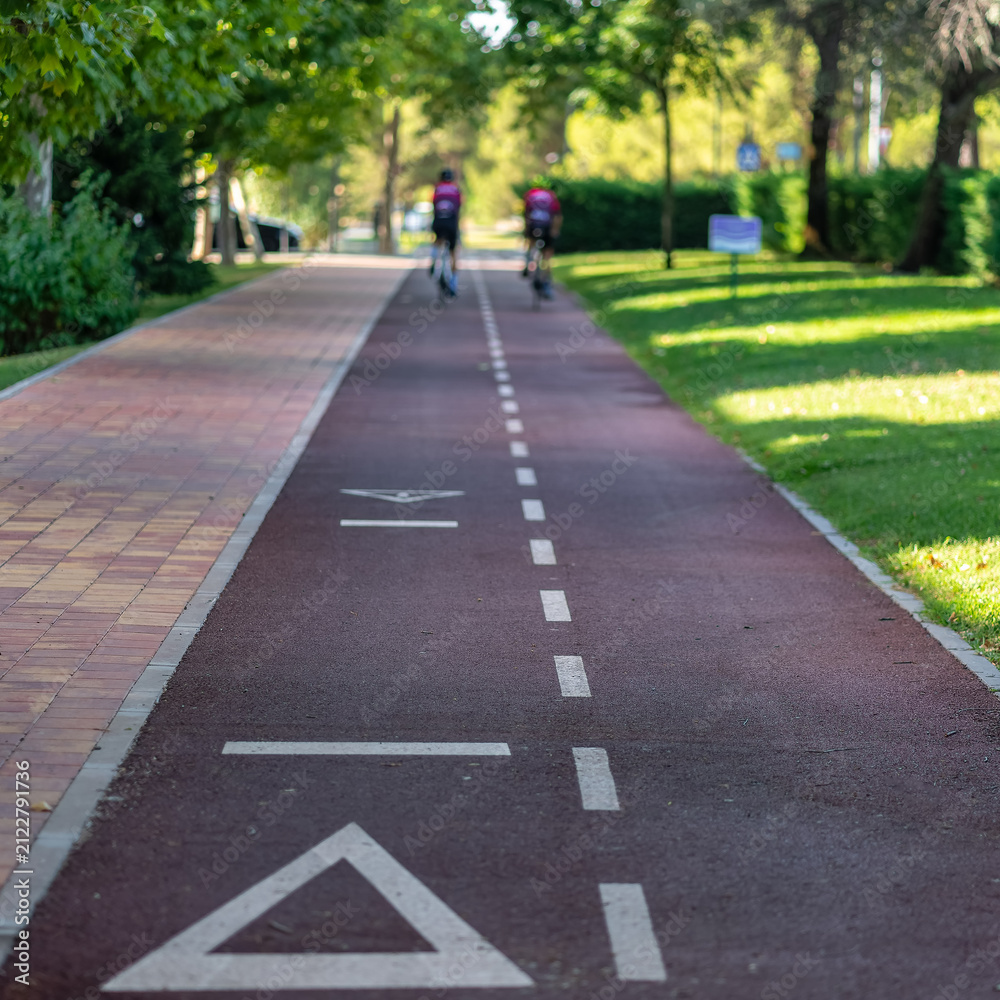 Obraz premium Rear view of two cyclists on a marked urban bicycle lane with grass and trees