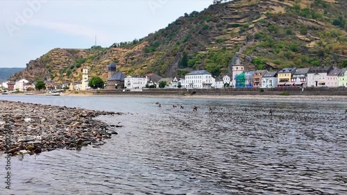 Ducks swim in the shallow Rhine between exposed gravel banks during a period of extreme low water.