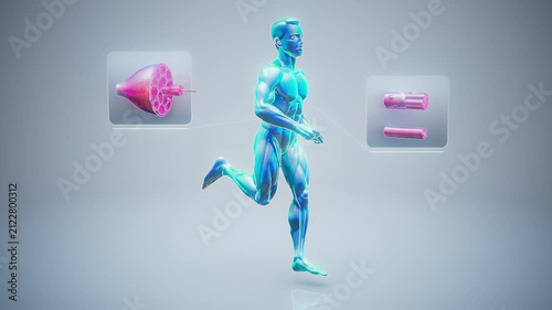 Conceptual 3D animation of an anatomical muscle man