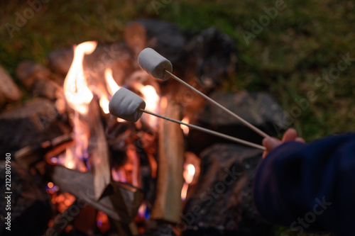 Two marshmallows being roasted over a warm campfire at night. Cozy camping moment with firelight and outdoor atmosphere, symbolizing friendship, relaxation, and adventure in nature.