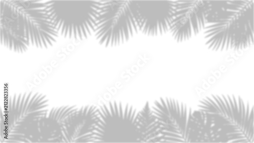 Foto Isolated palm leaves with feathery fronds on clean white background