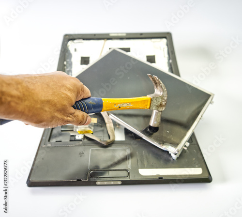 Disassembled Laptop Screen Internal Parts