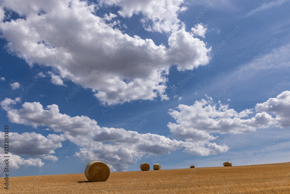 Fototapeta premium Hay bales after harvesting, with a blue sky and fluffy clouds overhead