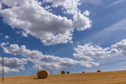 Hay bales after harvesting, with a blue sky and fluffy clouds overhead