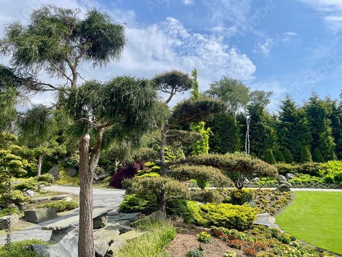 A beautiful botanical garden with trees