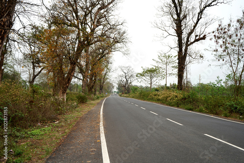 Asphalt road passing through a scenic rural landscape with tall bare trees at North Bengal