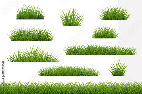 Fotografía Green Grass Frame Collection White Background