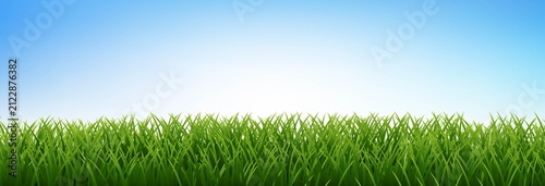 Green Grass Frame Isolated White Background
