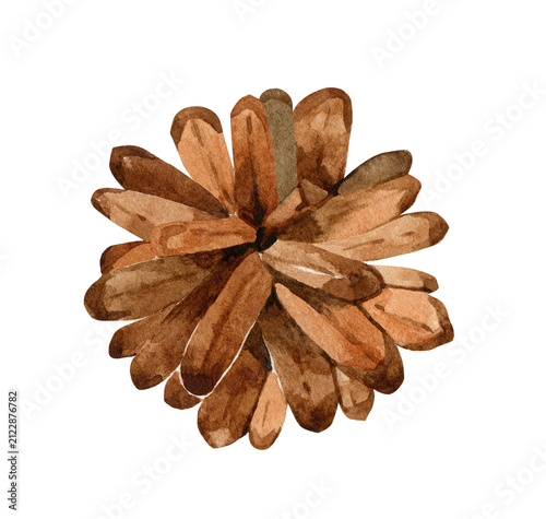 Watercolor pine cone isolated. Top view. Botanical illustration for winter holidays decoration, hand drawing.
