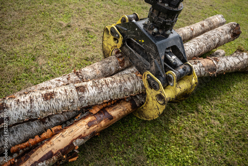 Hydraulic forestry grapple grips a stack of freshly cut birch logs during an outdoor machinery demonstration.