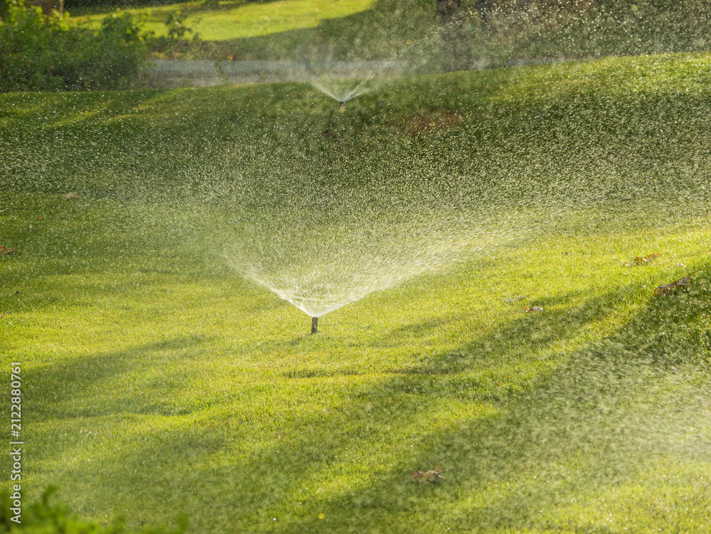 Fototapeta premium Automatic smart irrigation sprinkler system spraying fresh water on a lush green lawn in a sustainable backyard garden during a bright summer day, saving water with modern technology
