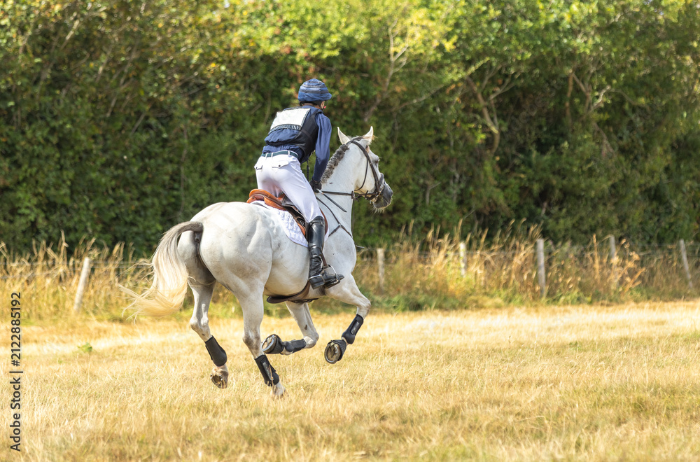 Naklejka premium Event Rider and horse cantering across a dry summer field on a cross country course. Horse and rider in cross country gear. Sport horse in action. Equestrian.