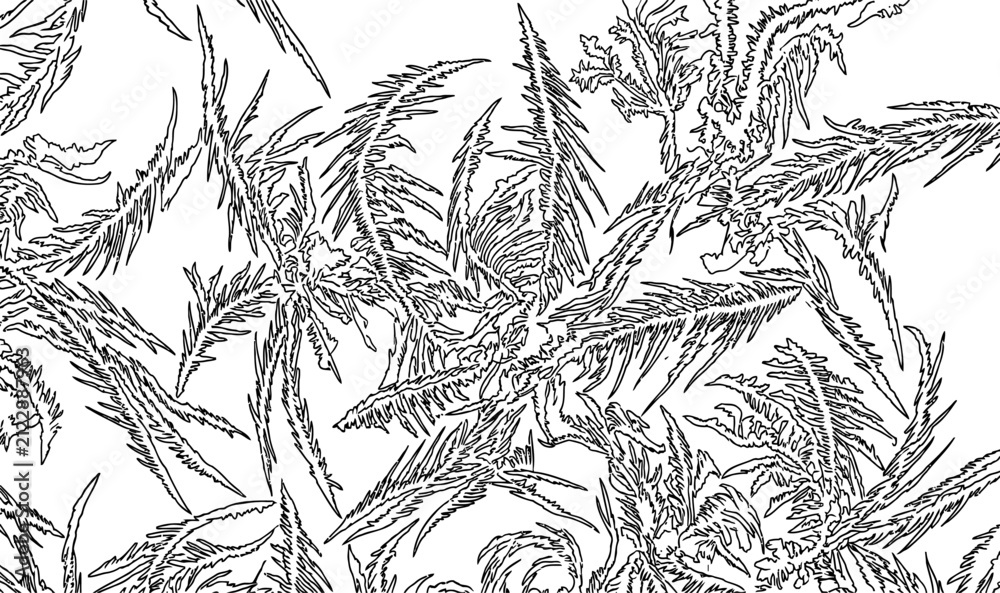 Fototapeta premium Delicate frost patterns on a white background creating a winter texture with fine crystalline structures