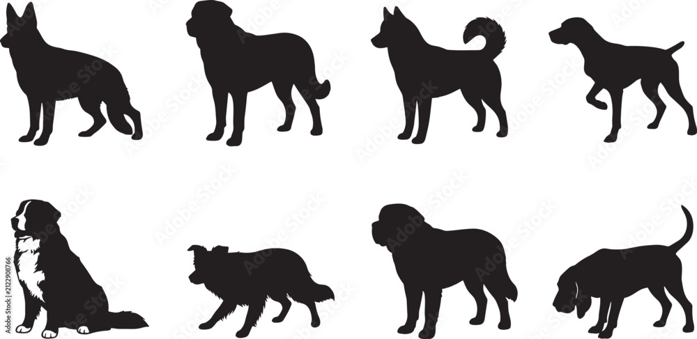 Obraz premium Dog Silhouette Set Collection with Various Breeds Standing Sitting and Walking Isolated on WhiteDog Silhouette Set Collection with Various Breeds Standing Sitting and Walking Isolated on White