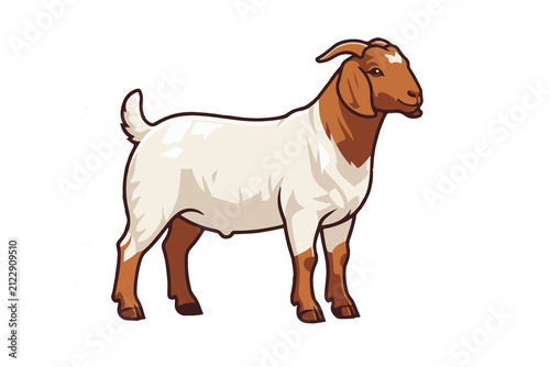 Fotografía digital graphical element of a Boer Goat portrait in transparent background