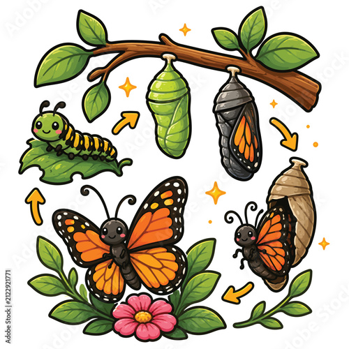 Butterfly life cycle cartoon vector illustration isolated on white background showing metamorphosis from caterpillar to butterfly