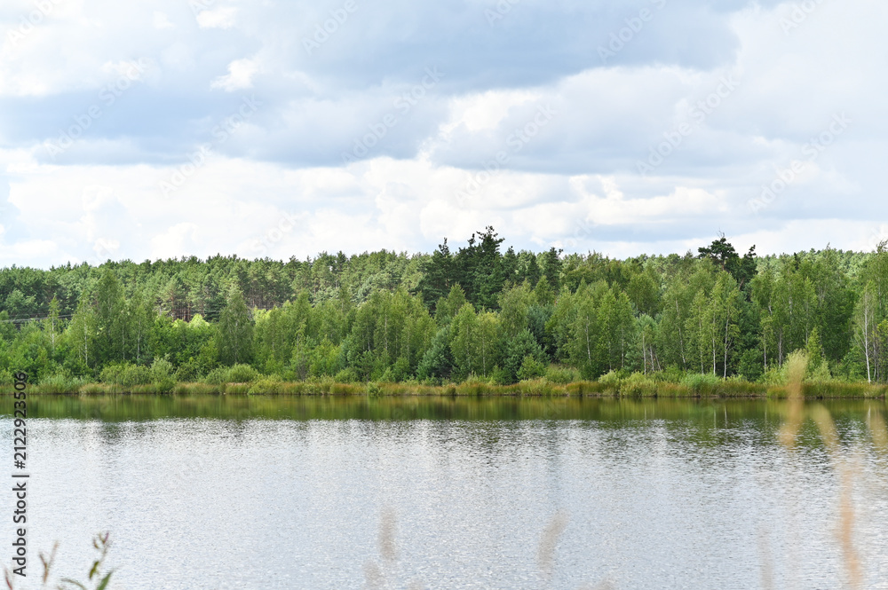 Fototapeta premium Lake near woodland with lush vegetation and calm water surface. Natural scenery represents peaceful retreat, environmental protection, wildlife habitat and countryside relaxation. Forest outdoor mood