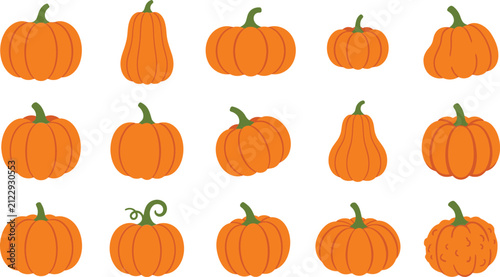 Obraz na plátne Collection of orange pumpkins for fall seasonal designs and halloween themes