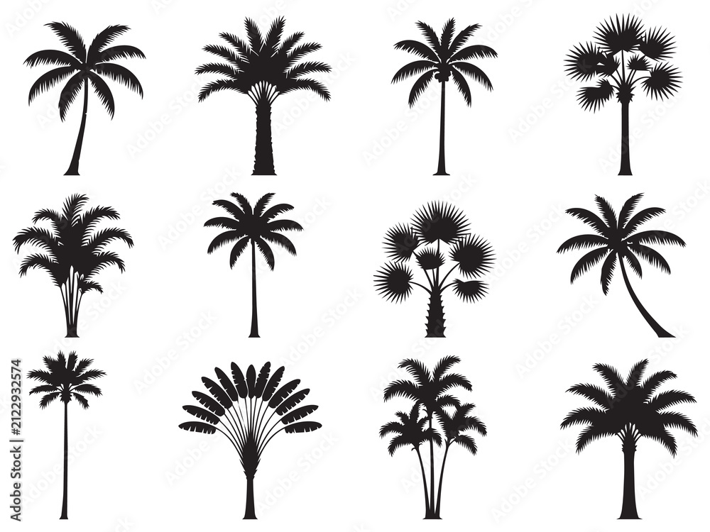 Naklejka premium Palm Tree Silhouette Vector Set Tropical Black Palm Trees Collection