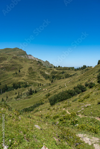 Obraz na płótnie panoramic view of the lush green alpine pastures and rolling mountain slopes of