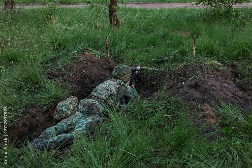 Obraz premium A soldier aims a service rifle from a prone fighting position in tall grass during a military exercise.