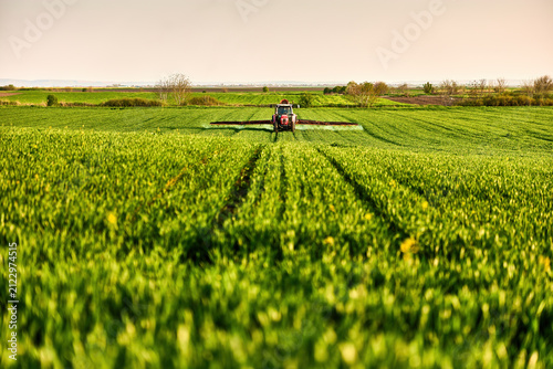 Farmer tractor spraying pesticides on green wheat crop field in agricultural land
